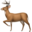 DeerFlow logo